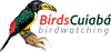 BirdsCuiabá