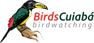 BirdsCuiabá
